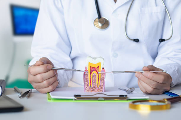 Best Emergency TMJ Treatment in Momence, IL